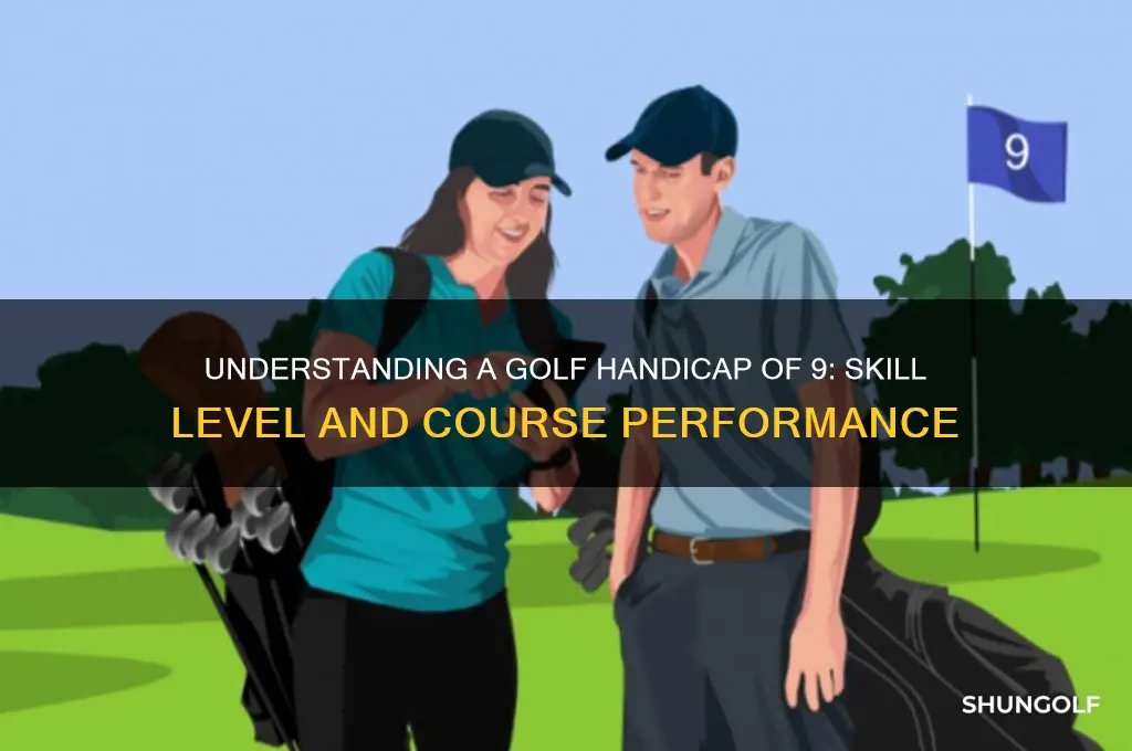 what does a golf handicap of 9 mean