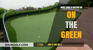 Mastering the Green: A Golfer's Essential Skills and Techniques