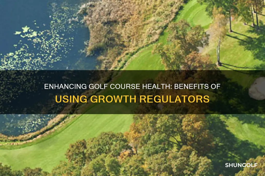 what does a growth regulator for golf courses provide