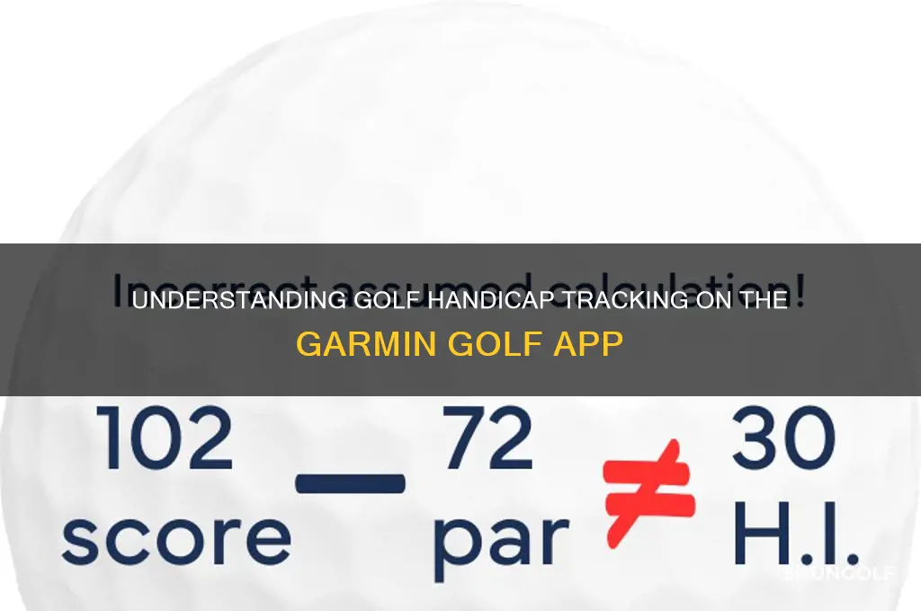 what does a handicap mean on the garmin golf app