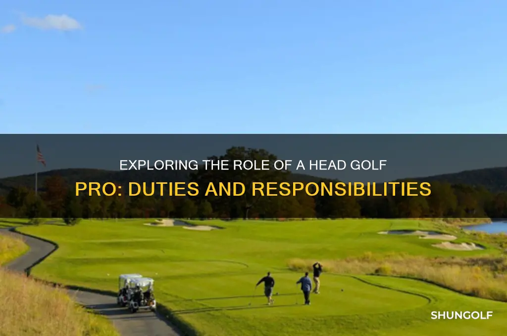 what does a head golf pro do
