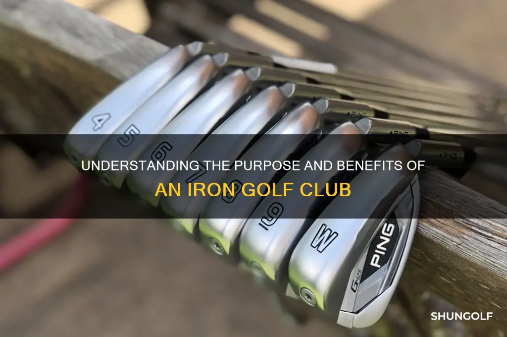 what does a iron golf club