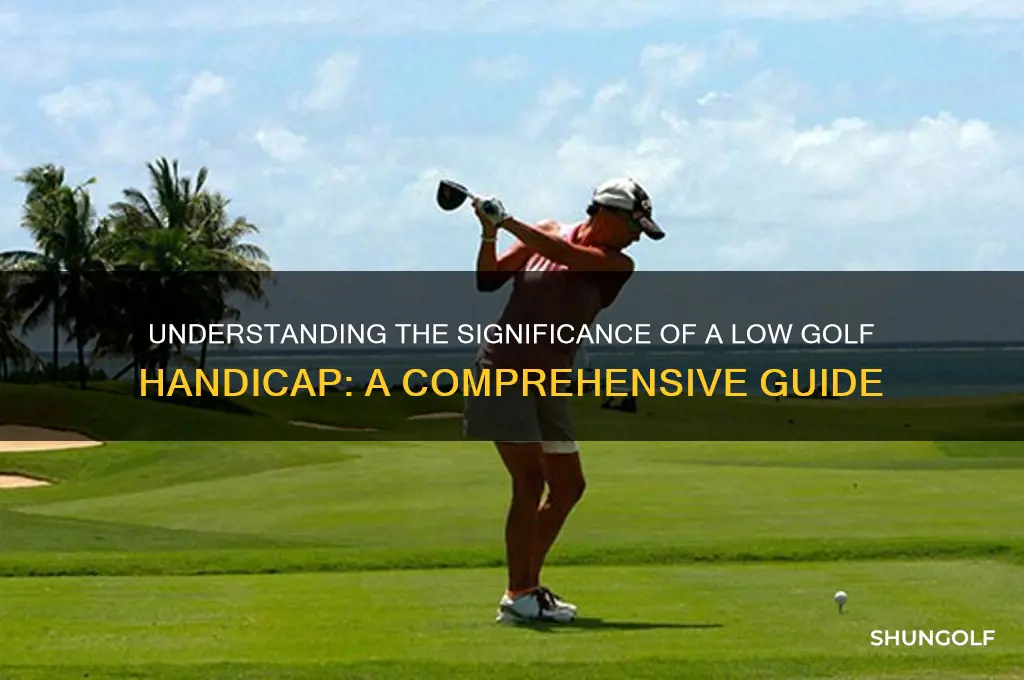 what does a low golf handicap mean
