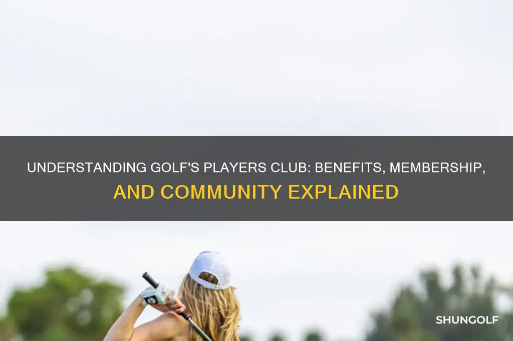 what does a players club mean in golf