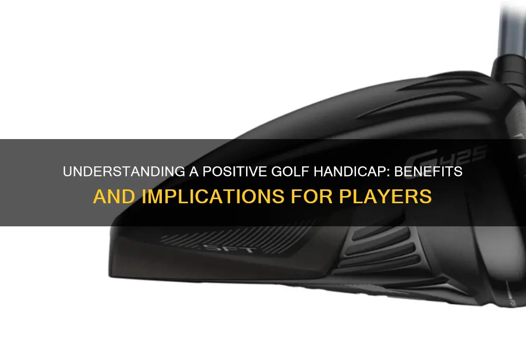 what does a positive golf handicap mean