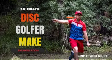 Unveiling the Earnings Potential of Professional Disc Golfers