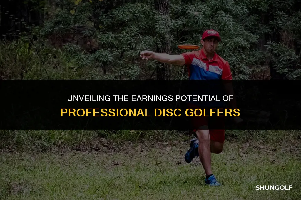 what does a pro disc golfer make