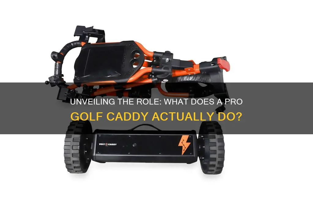 what does a pro golf caddy do