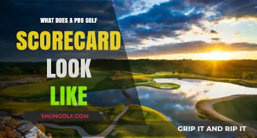 Understanding the Layout and Details of a Professional Golf Scorecard