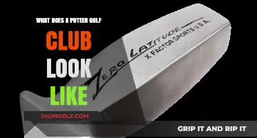 Understanding the Design and Appearance of a Putter Golf Club