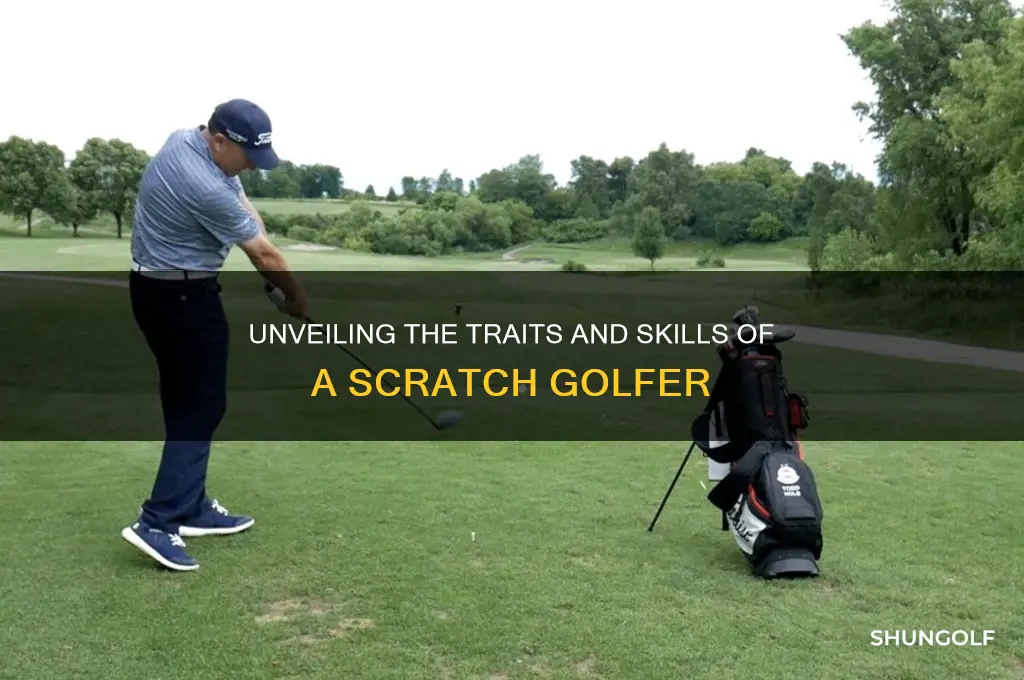 what does a scratch golfer look like
