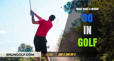 Mastering Golf Wedges: Purpose, Technique, and Game Improvement Tips