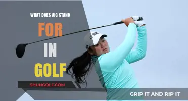 Understanding AIG in Golf: Meaning, Importance, and Common Usage Explained