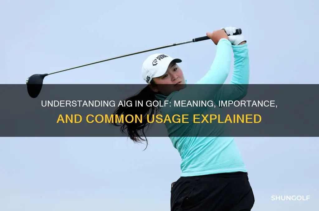 what does aig stand for in golf