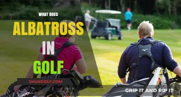 Understanding the Albatross: Golf's Rare and Prestigious Scoring Achievement