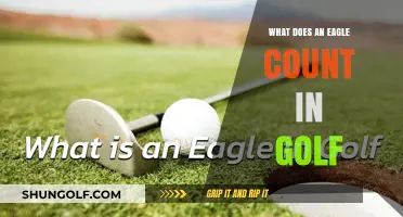 Understanding the Eagle's Impact on Golf Scores and Gameplay