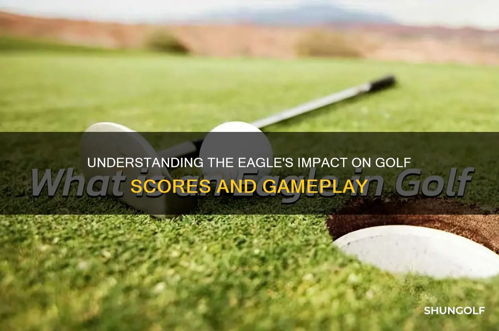 what does an eagle count in golf