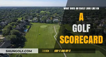 Eagle on the Scorecard: Decoding Golf's Prestigious Scoring Symbol