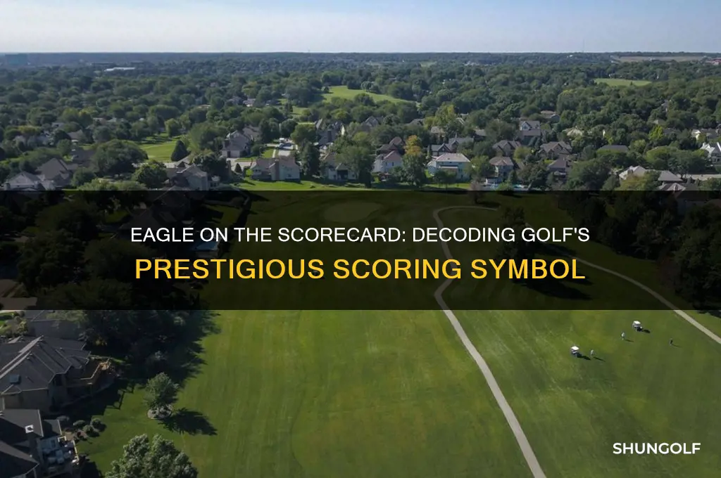 what does an eagle look like on a golf scorecard