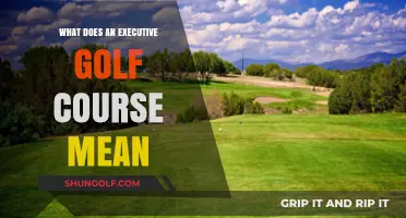 Understanding Executive Golf Courses: A Quick Guide to Shorter Play