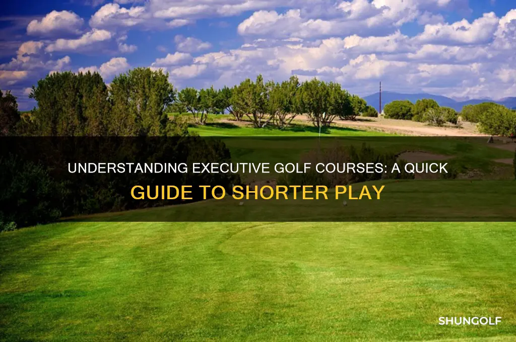 what does an executive golf course mean