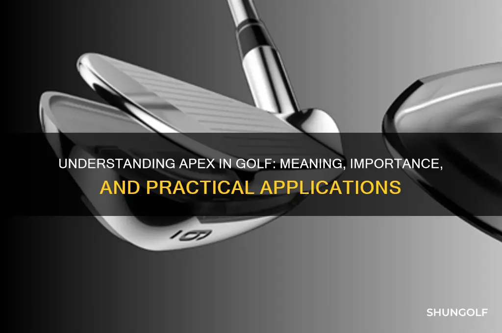 what does apex stand for in golf