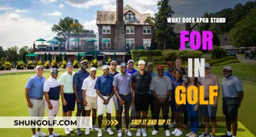 Understanding APGA in Golf: Meaning, Role, and Impact Explained