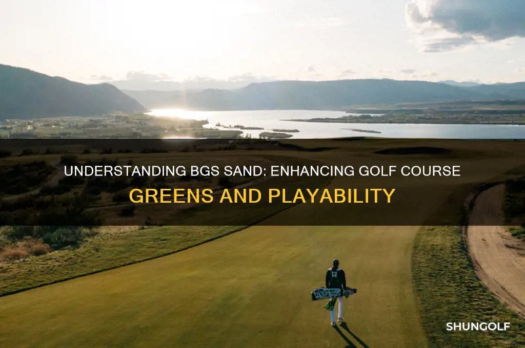 what does b g s sand for golf