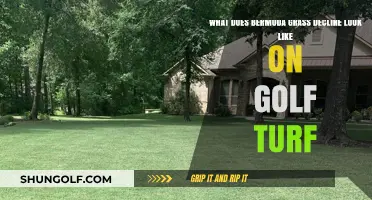 Identifying Bermuda Grass Decline on Golf Turf: Symptoms and Causes