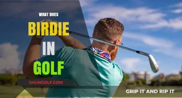 Understanding Birdie in Golf: Definition, Scoring, and Strategies for Success