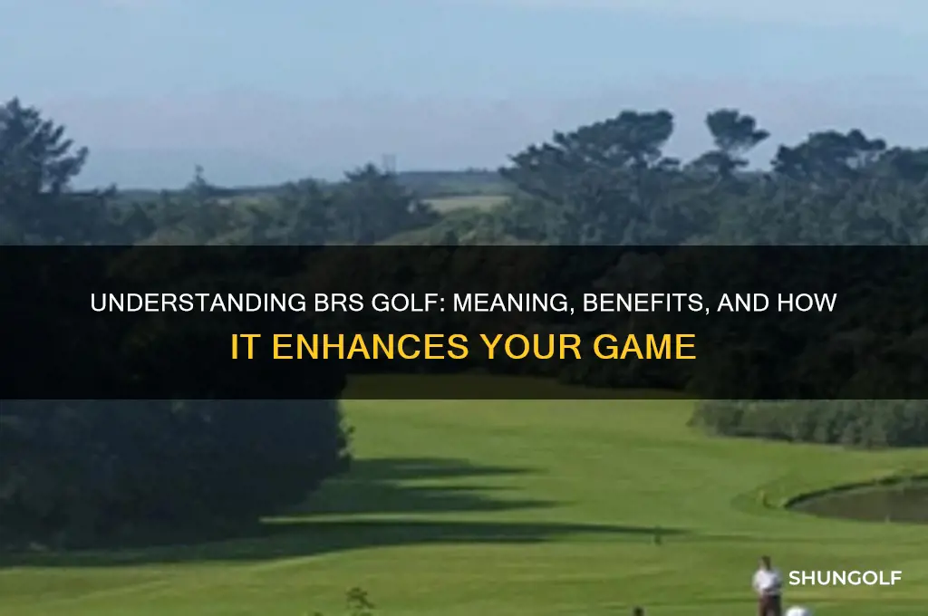 what does brs golf stand for