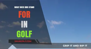 Understanding BRS in Golf: Meaning, Usage, and Importance Explained