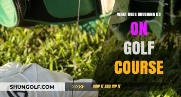 Brushing on Golf Courses: Enhancing Play, Maintenance, and Course Health