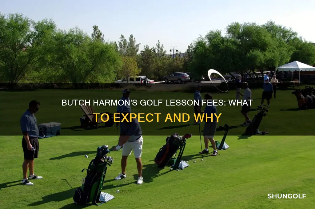 what does butch harmon charge for a golf lesson