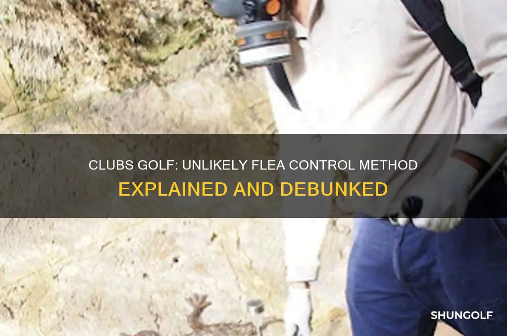 what does clubs golf mean when killing fleas