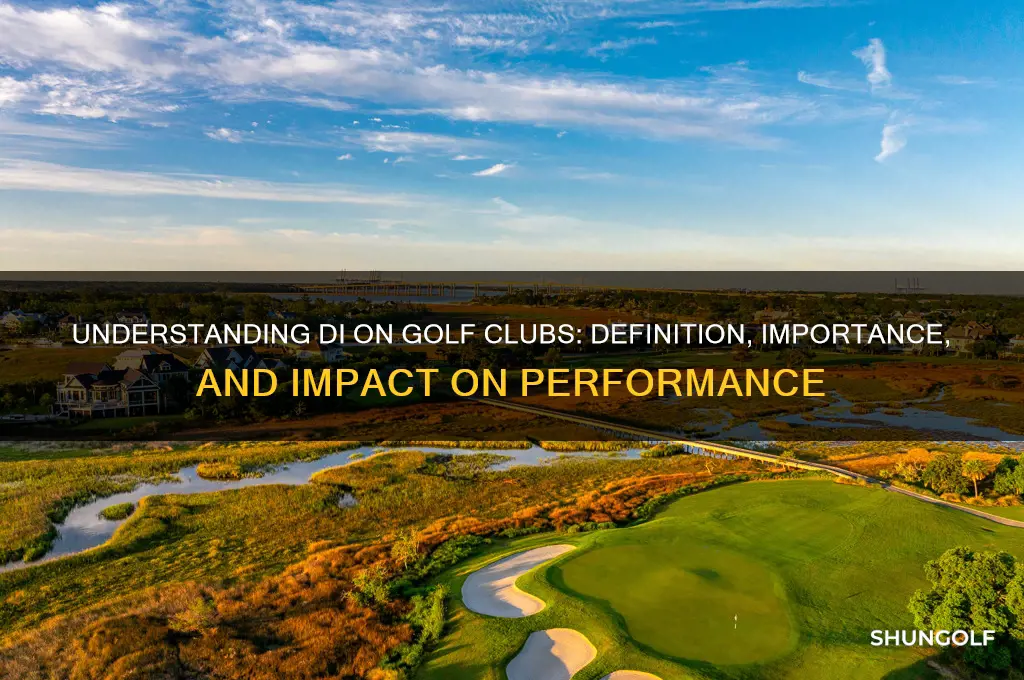 what does di on a golf club mean