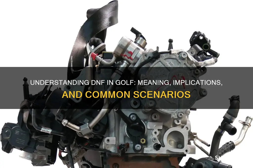 what does dnf stand for in golf