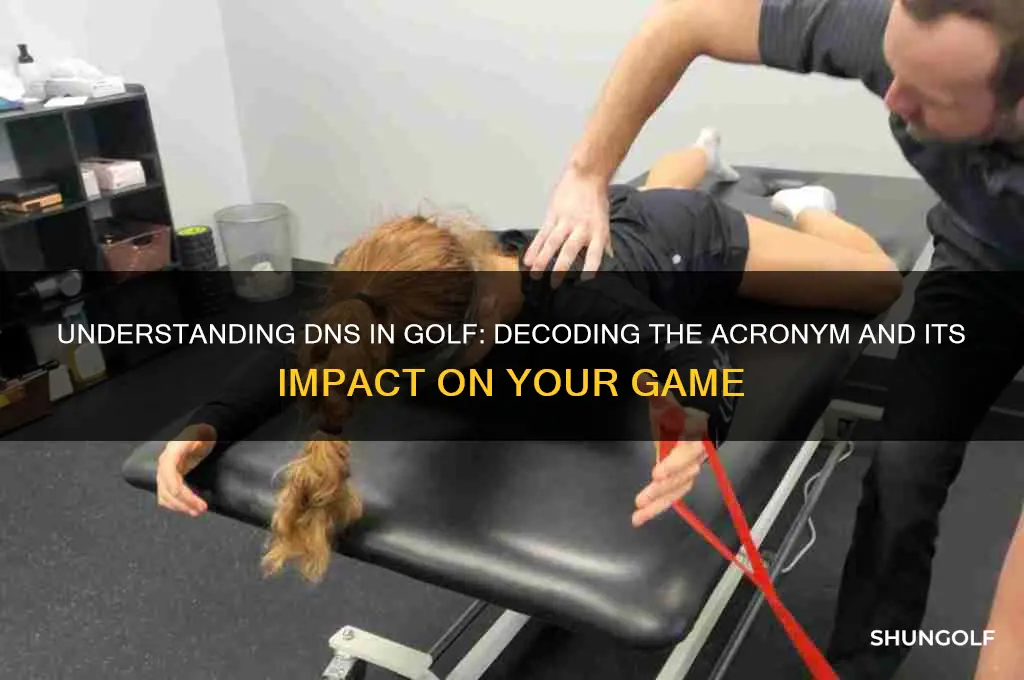 what does dns stand for in golf