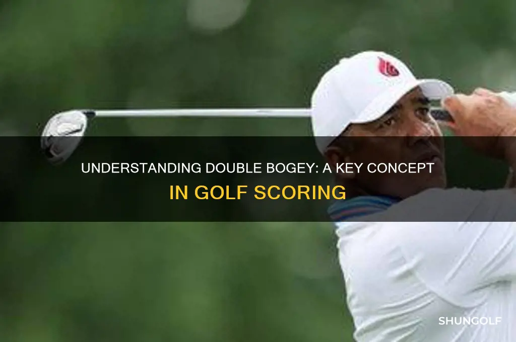 what does double bogey in golf