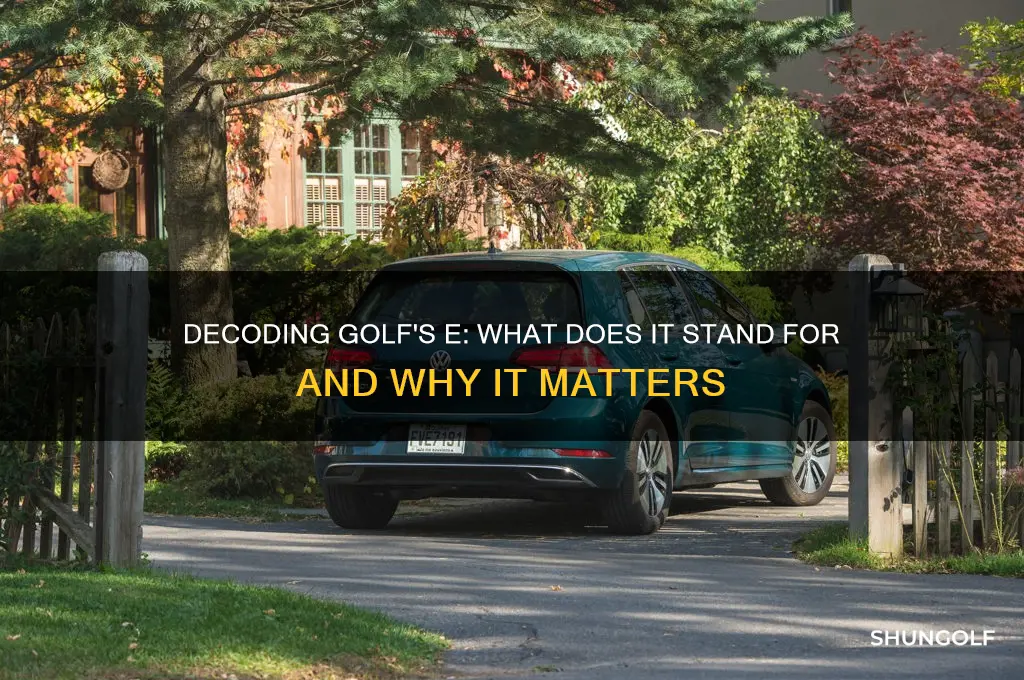 what does e stand for in golf
