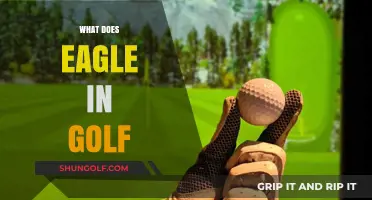Understanding the Eagle in Golf: Definition, Scoring, and Strategies