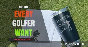 Every Golfer's Dream: Perfect Swing, Lower Scores, and Ultimate Gear