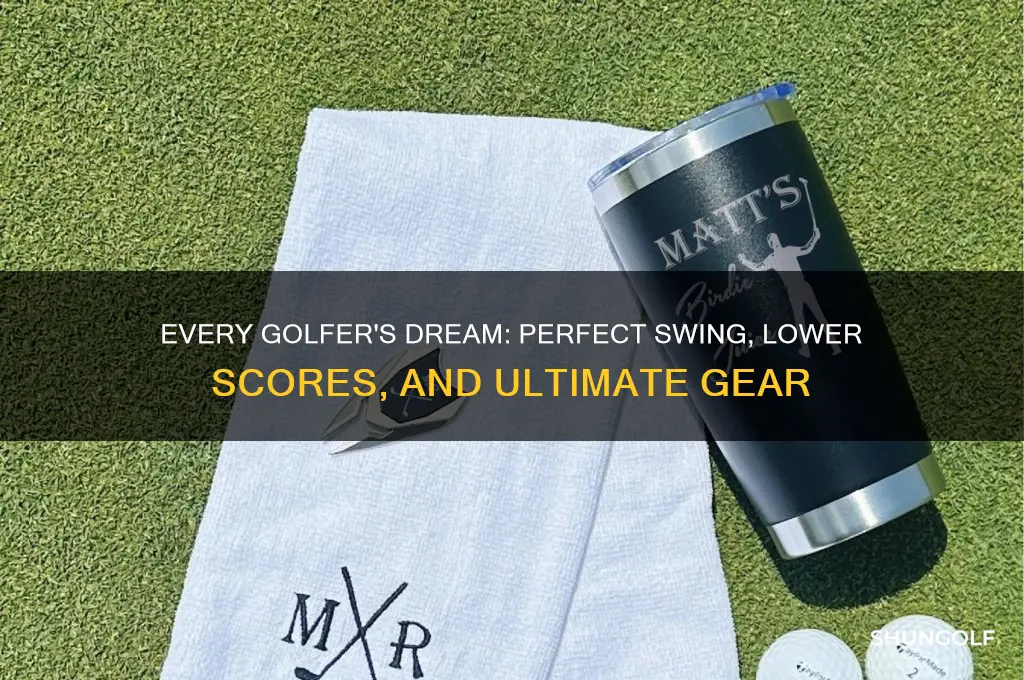what does every golfer want