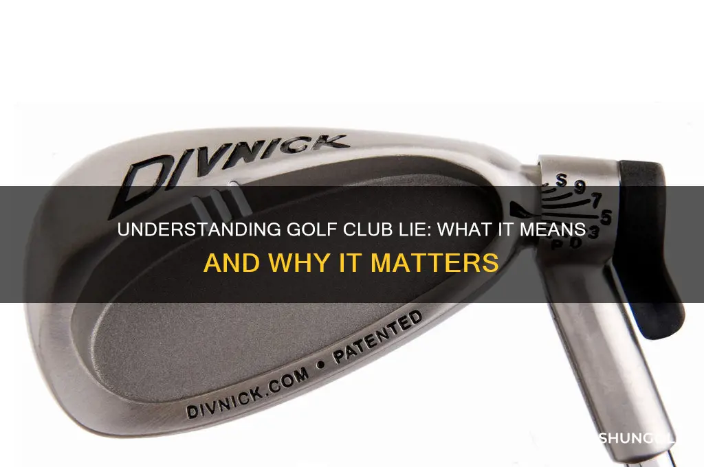 what does golf club lie mean