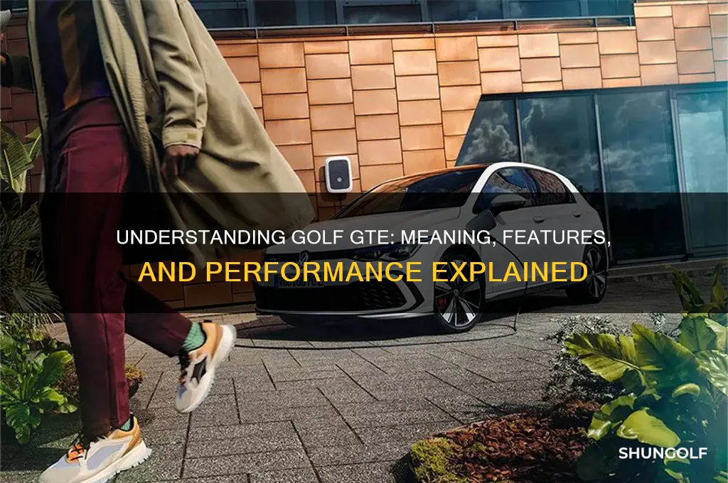 what does golf gte stand for