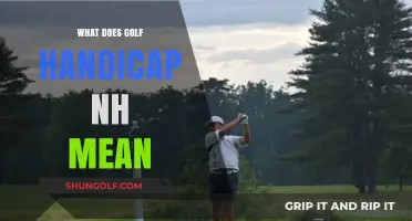 Understanding Golf Handicap NH: Meaning, Calculation, and Usage Explained