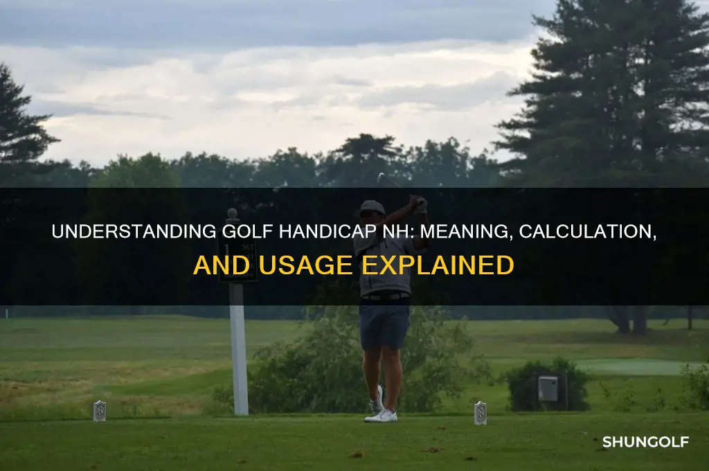 what does golf handicap nh mean