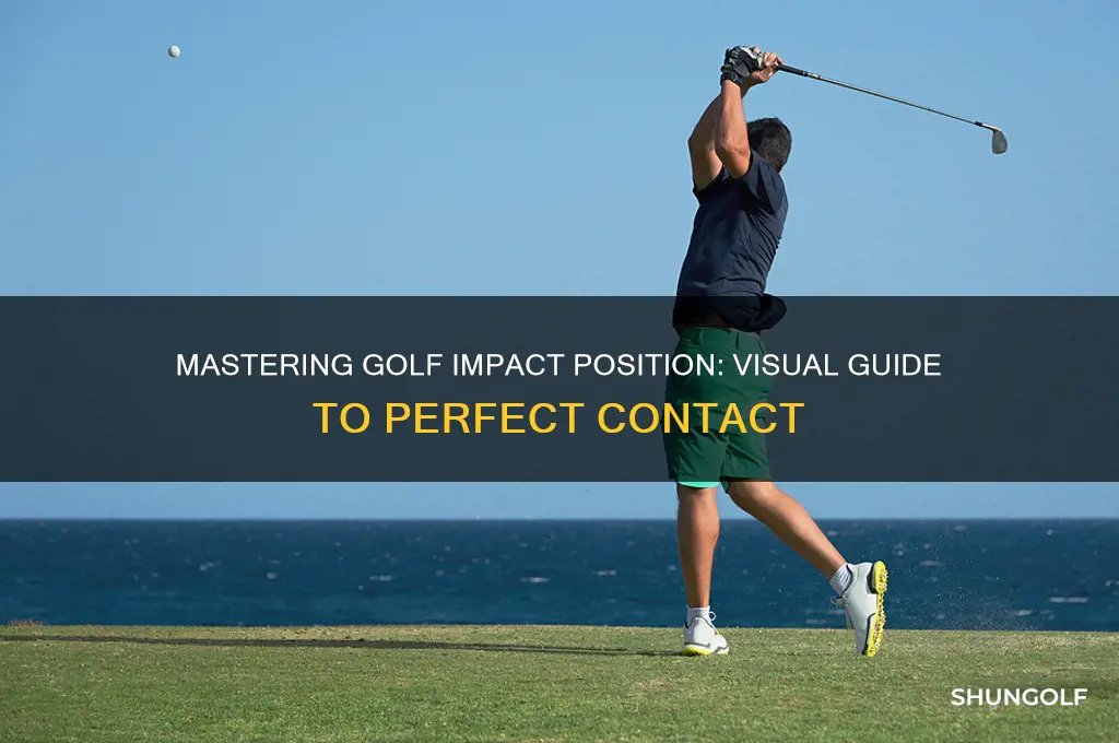 what does golf impact position look like