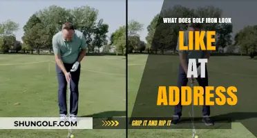 Mastering Your Golf Stance: Visualizing the Perfect Iron at Address