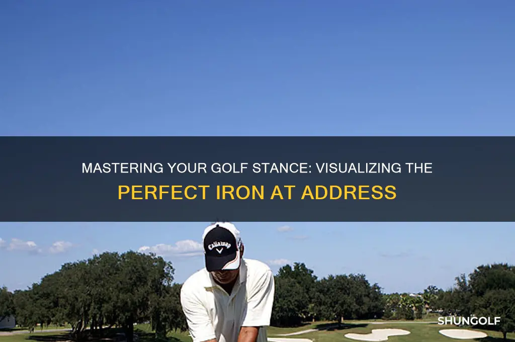 what does golf iron look like at address